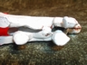 Vintage Cast Iron Coca Cola Advertising Horse Wagon Toy