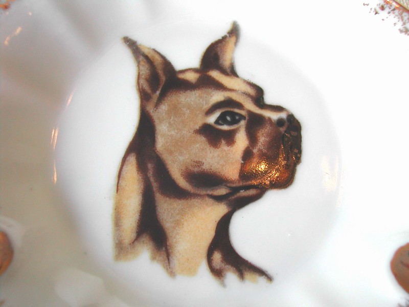 Ashtray Gilt - Boxer