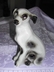 Ceramic Spotted Mutt Dog Brazil