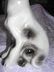Ceramic Spotted Mutt Dog Brazil