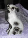 Ceramic Spotted Mutt Dog Brazil