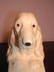 Vintage English Setter Chalkware Bookends England