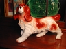 Superb Cocker Spaniel Dog Figurine Staffordshire England