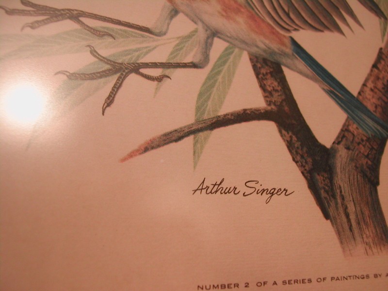 Arthur Singer "Birds of North America Series" Botanical Prints