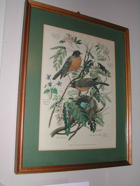 Arthur Singer "Birds of North America Series" Botanical Prints