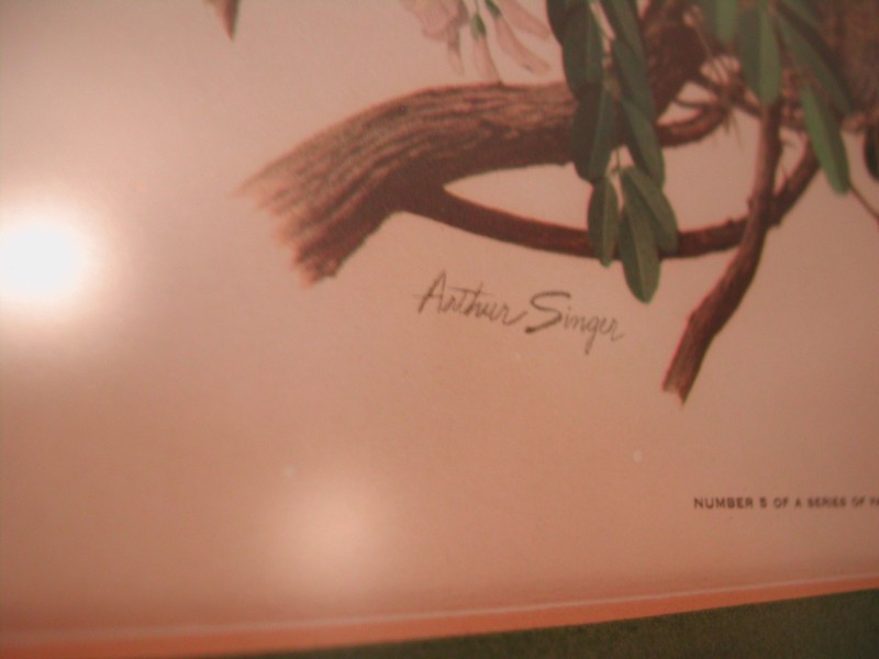 Arthur Singer "Birds of North America Series" Botanical Prints