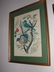 Arthur Singer "Birds of North America Series" Botanical Prints