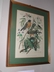 Arthur Singer "Birds of North America Series" Botanical Prints