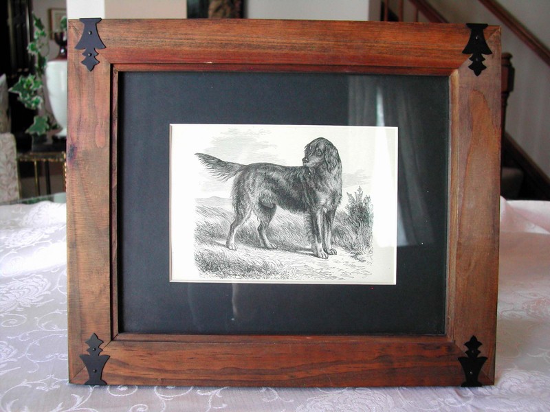 Antique Gordon Setter Engraving Butterworth & Heath England