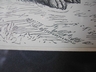 Antique Gordon Setter Engraving Butterworth & Heath England