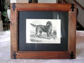 Antique Gordon Setter Engraving Butterworth & Heath England