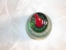 Seed (Bubble) Glass Art Glass Pear Paperweight