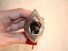 Vintage Abalone & Silverplate Hinged Hand Crafted Fish Bottle Op