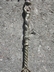 Vintage Italian Brass Toasting Fork Mermaid Lion Fleur-de-lis