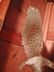Large & Majestic Brass American Eagle Sculpture