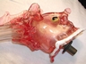 Cranberry Art Glass Fish/Dragon Fixture