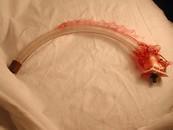 Cranberry Art Glass Fish/Dragon Fixture