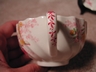 Copeland Spode Cup Saucer "Fairy Dell" c.1920