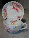 Copeland Spode Cup Saucer "Fairy Dell" c.1920