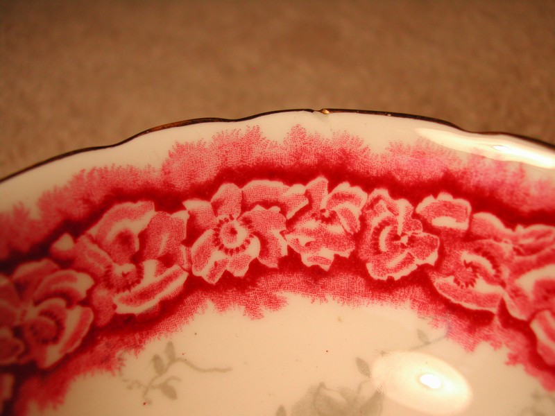 Elegant Vintage “Coalport” English Roses & Vines Teacup/Saucer