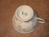 Elegant Vintage “Coalport” English Roses & Vines Teacup/Saucer