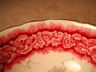 Elegant Vintage “Coalport” English Roses & Vines Teacup/Saucer