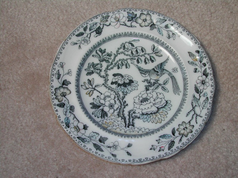 Ashworth Bros. Hanley England Bird Plate c.1862-1890