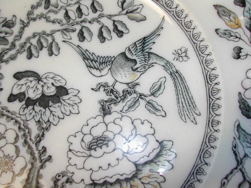 Ashworth Bros. Hanley England Bird Plate c.1862-1890