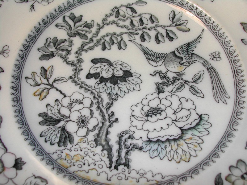Ashworth Bros. Hanley England Bird Plate c.1862-1890