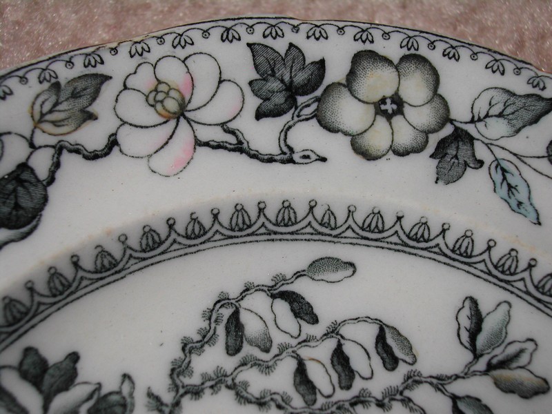 Ashworth Bros. Hanley England Bird Plate c.1862-1890