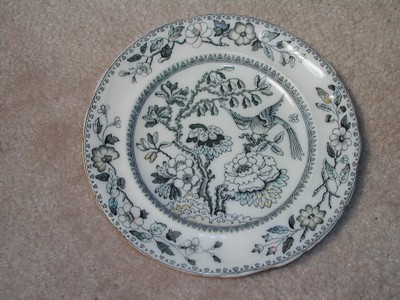 Ashworth Bros. Hanley England Bird Plate c.1862-1890