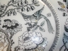 Ashworth Bros. Hanley England Bird Plate c.1862-1890