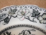 Ashworth Bros. Hanley England Bird Plate c.1862-1890
