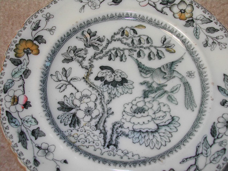 Ashworth Bros. Hanley England Bird Plate c.1862-1890