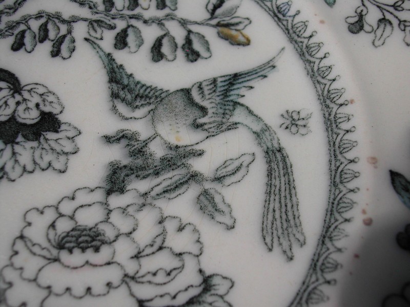 Ashworth Bros. Hanley England Bird Plate c.1862-1890