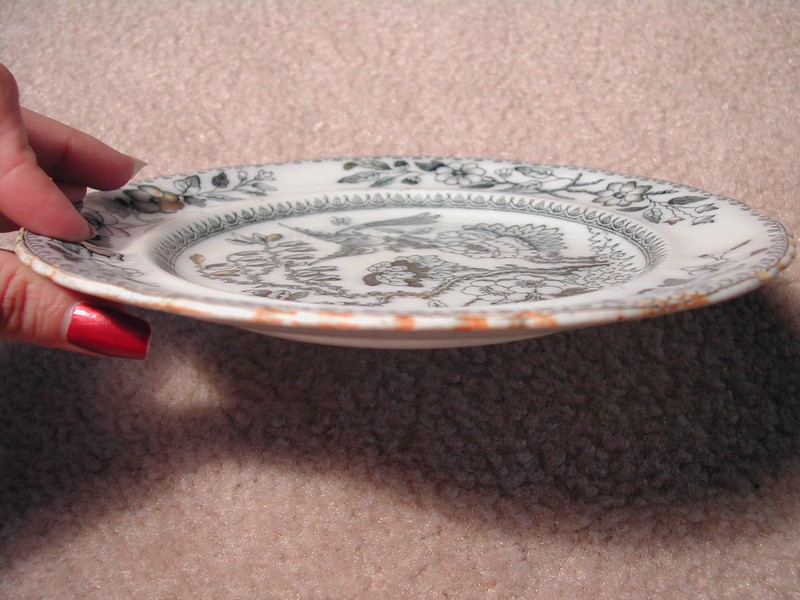 Ashworth Bros. Hanley England Bird Plate c.1862-1890
