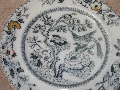 Ashworth Bros. Hanley England Bird Plate c.1862-1890