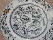 Ashworth Bros. Hanley England Bird Plate c.1862-1890