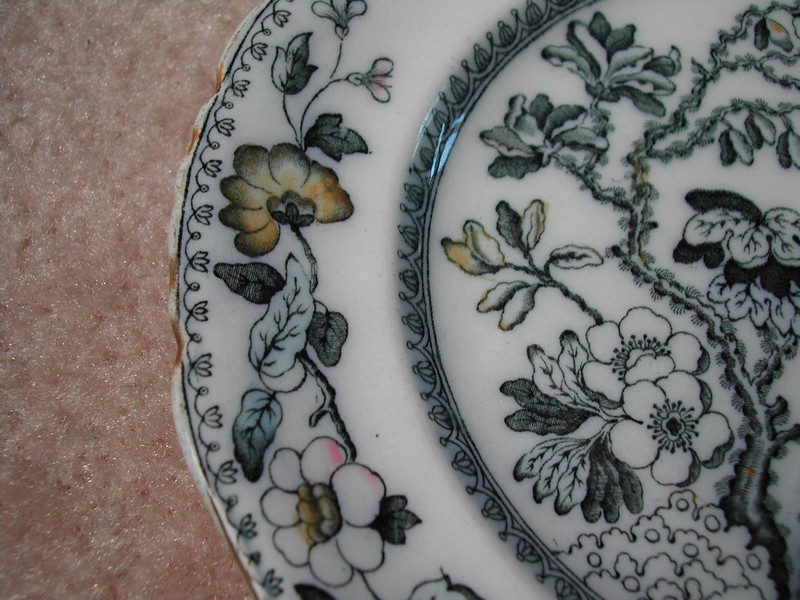 Ashworth Bros. Hanley England Bird Plate c.1862-1890