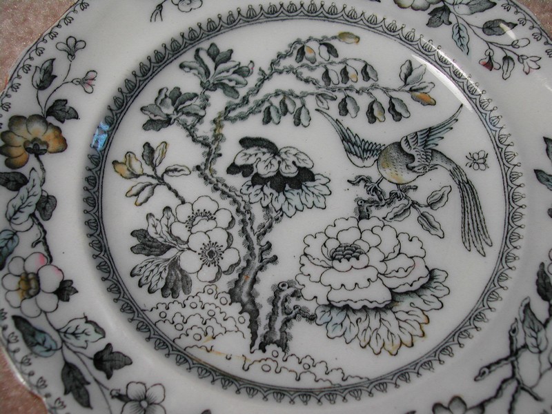 Ashworth Bros. Hanley England Bird Plate c.1862-1890