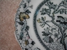 Ashworth Bros. Hanley England Bird Plate c.1862-1890