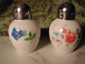 Vintage Fine China Salt & Pepper Thomas Germany