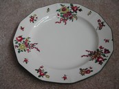 Vintage Royal Doulton Hand Painted “Old Leeds Sprays” Plate