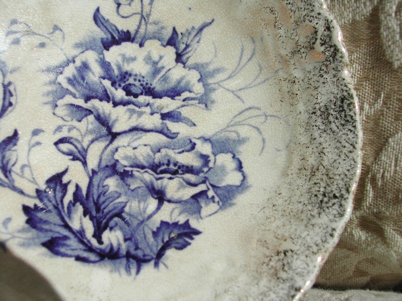 English D.B. & Co. Blue/White Poppy Porridge Bowl
