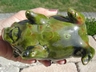 Vintage Majolica Ceramic Art Pottery Pig Piggy Bank