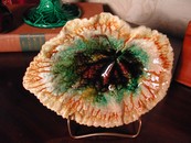Etruscan Style Majolica Begonia Leaf Dish Antique