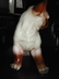 A Charming Vintage UCGC Siamese Kitten Ceramic
