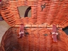 Old Wicker/Leather Fishing Creel