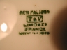 T&V (Tressemann & Vogt) Limoges France Hand Painted Lily Pads Bo
