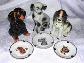All Things Dog